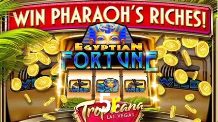 Cassino ao vivo com dealers reais na 5r